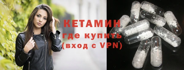 индика Богородск