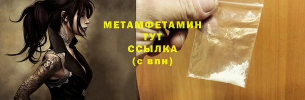 ПСИЛОЦИБИНОВЫЕ ГРИБЫ Богданович