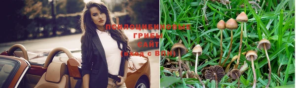 индика Богородск