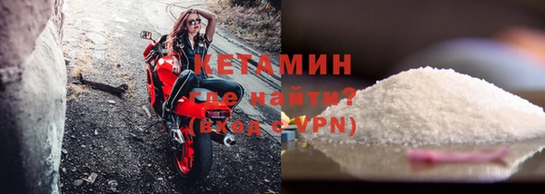 индика Богородск