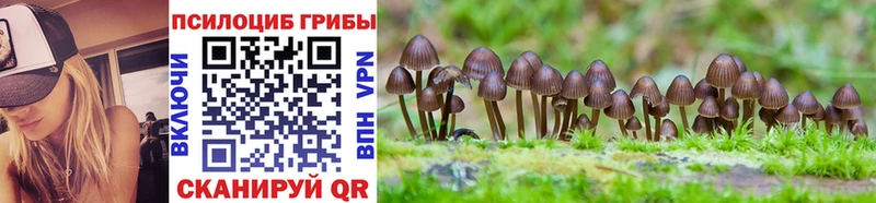 Псилоцибиновые грибы мухоморы  Северск 