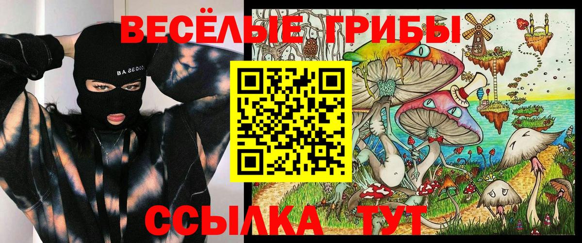 Псилоцибиновые грибы Psilocybe Северск